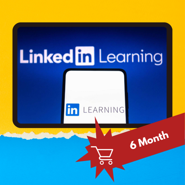LinkedIn Learning 6-Month Plan